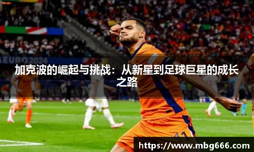 米兰体育官方网站